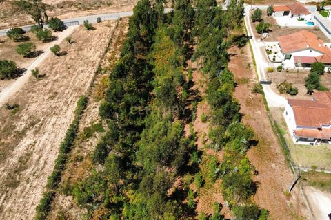 Helårsgrund i Pombal, Leiria, Pombal - € 31.000 | Ref: C0381-00804 - foto 16