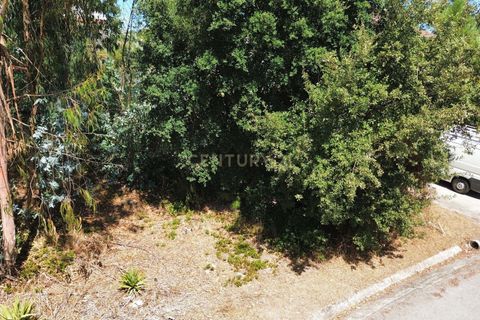 Helårsgrund i Pombal, Leiria, Pombal - € 31.000 | Ref: C0381-00804 - foto 18
