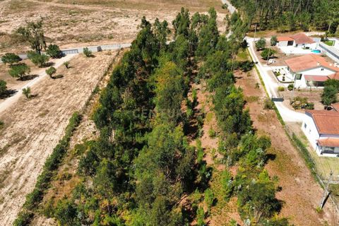 Helårsgrund i Pombal, Leiria, Pombal - € 31.000 | Ref: C0381-00804 - foto 19