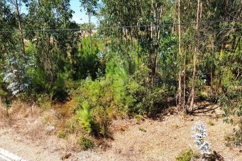 Helårsgrund i Pombal, Leiria, Pombal - € 31.000 | Ref: C0381-00804 - foto 20