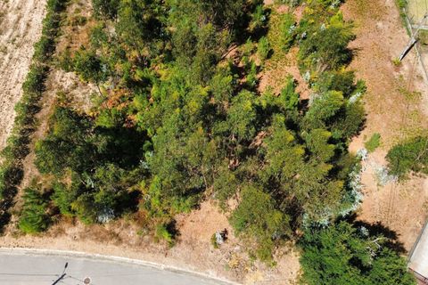 Helårsgrund i Pombal, Leiria, Pombal - € 31.000 | Ref: C0381-00804 - foto 21