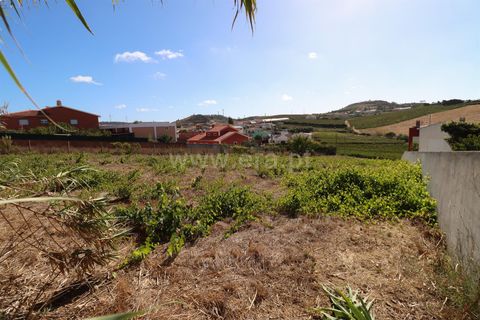 Helårsgrund i Torres Vedras, Lisbon, Torres Vedras - € 230.000 | Ref: 295250086 - foto 1