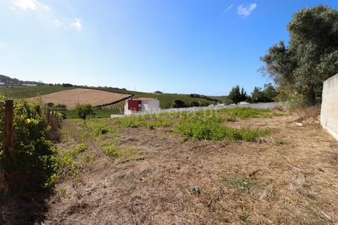 Helårsgrund i Torres Vedras, Lisbon, Torres Vedras - € 230.000 | Ref: 295250086 - foto 5