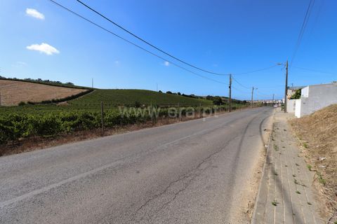 Helårsgrund i Torres Vedras, Lisbon, Torres Vedras - € 230.000 | Ref: 295250086 - foto 7