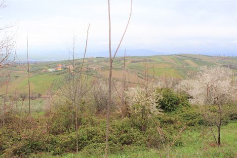 Erhvervsejendom i Mozzagrogna, Chieti, Mozzagrogna - € 12.000 | Ref: VT0541 - foto 2