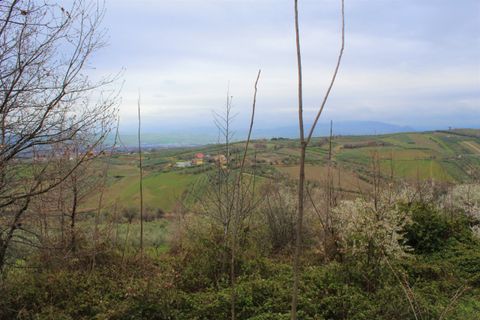 Erhvervsejendom i Mozzagrogna, Chieti, Mozzagrogna - € 12.000 | Ref: VT0541 - foto 3