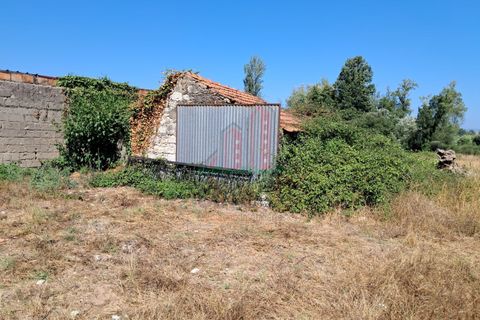Helårsgrund i Coimbra, Coimbra, Coimbra - € 59.000 | Ref: CC3951 - foto 1