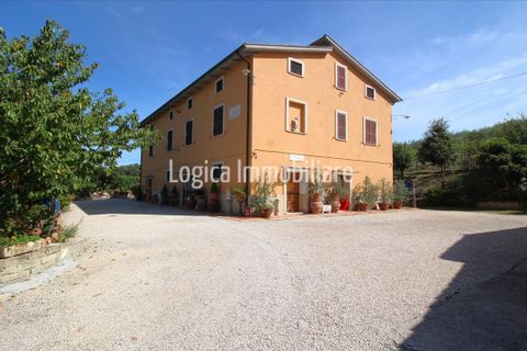 Masia a Chiusi, Siena, Chiusi - € 890.000 | Ref: CA623 - foto 3