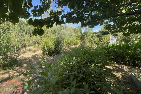 Villa i Latina, Latina, Latina - € 69.000 | Ref: 3121 - foto 17