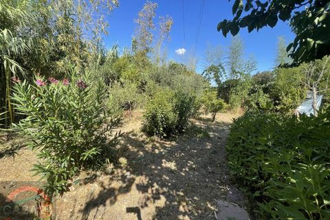 Villa i Latina, Latina, Latina - € 69.000 | Ref: 3121 - foto 19
