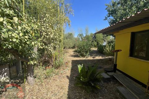 Villa i Latina, Latina, Latina - € 69.000 | Ref: 3121 - foto 21