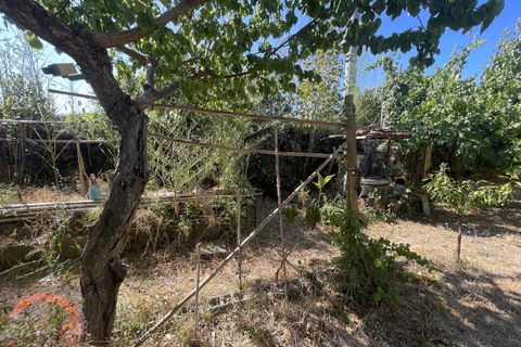 Villa i Latina, Latina, Latina - € 69.000 | Ref: 3121 - foto 28