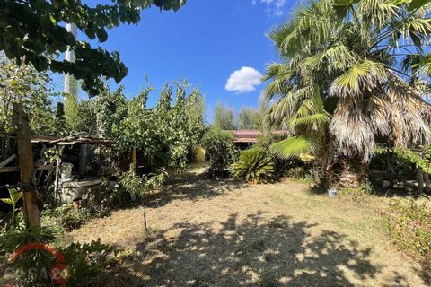 Villa i Latina, Latina, Latina - € 69.000 | Ref: 3121 - foto 29