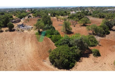 Helårsgrund i Guia, Faro, Guia - € 400.000 | Ref: LT-6986 - foto 7