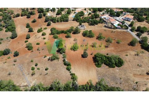 Helårsgrund i Guia, Faro, Guia - € 400.000 | Ref: LT-6986 - foto 14