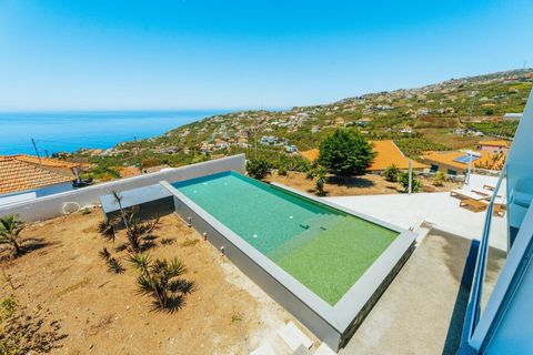 Villa i Ponta do Sol, Madeira, Ponta do Sol - € 875.000 | Ref: L2025564 - foto 19