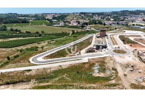 Helårsgrund i Alcobaca, Leiria, Alcobaca - € 100.000 | Ref: S4U100-V195 (8A) - foto 3