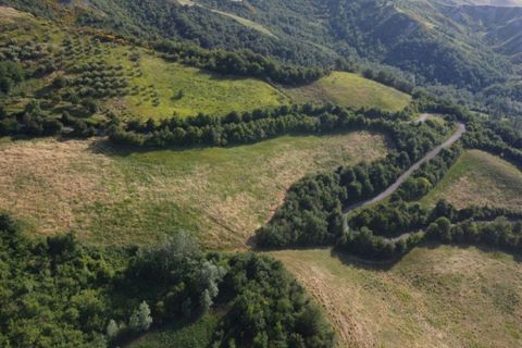 Terra a Brogliano, Vicenza, Brogliano - € 180.000 | Ref: 667 - foto 2
