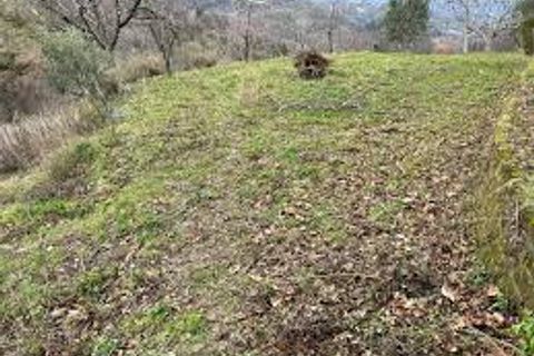 Terra a Brogliano, Vicenza, Brogliano - € 180.000 | Ref: 667 - foto 3