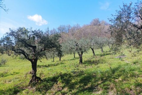 Terra a Brogliano, Vicenza, Brogliano - € 180.000 | Ref: 667 - foto 4