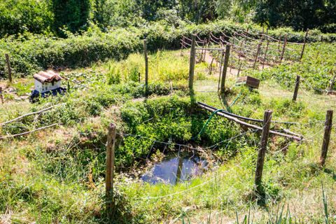 Terra a Brogliano, Vicenza, Brogliano - € 180.000 | Ref: 667 - foto 7