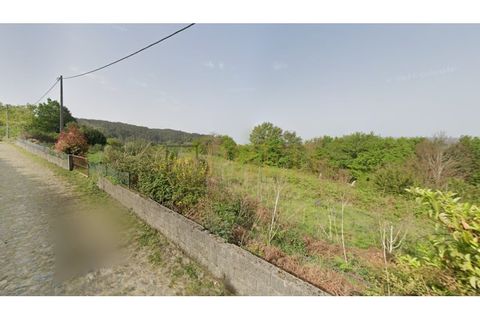 Helårsgrund i Viana do Castelo, Viana do Castelo, Viana do Castelo - € 120.000 | Ref: PRED-649 - foto 3