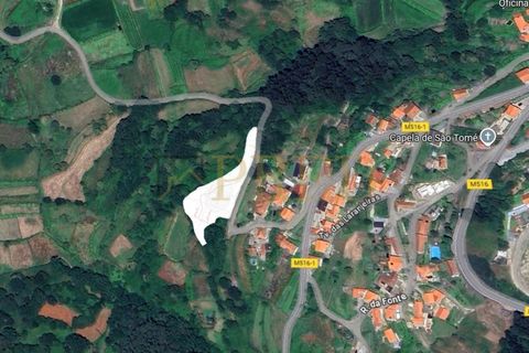 Helårsgrund i Viana do Castelo, Viana do Castelo, Viana do Castelo - € 120.000 | Ref: PRED-649 - foto 5