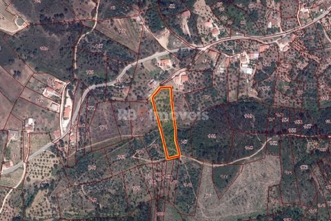 Helårsgrund i Tomar, Santarem, Tomar - € 15.000 | Ref: 01582-25 - foto 3