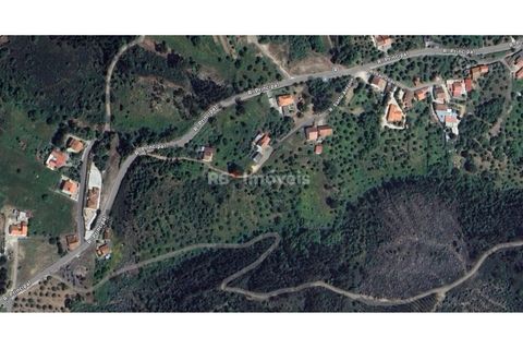 Helårsgrund i Tomar, Santarem, Tomar - € 15.000 | Ref: 01582-25 - foto 2