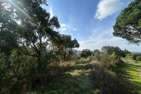 Helårsgrund i Tomar, Santarem, Tomar - € 15.000 | Ref: 01582-25 - foto 6