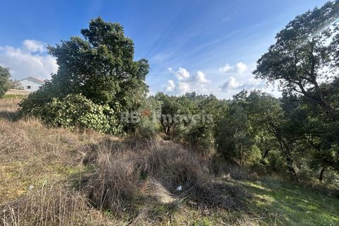 Helårsgrund i Tomar, Santarem, Tomar - € 15.000 | Ref: 01582-25 - foto 9