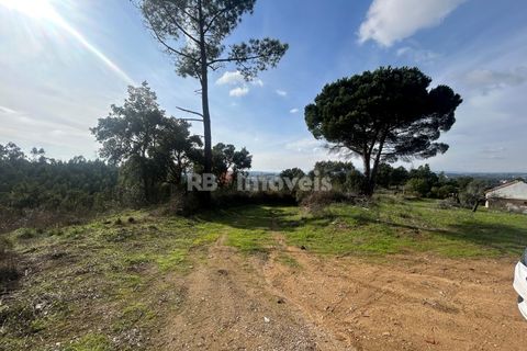 Helårsgrund i Tomar, Santarem, Tomar - € 15.000 | Ref: 01582-25 - foto 10