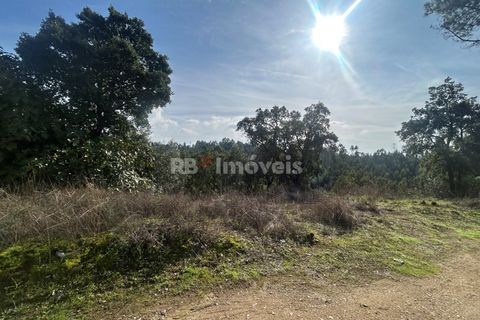 Helårsgrund i Tomar, Santarem, Tomar - € 15.000 | Ref: 01582-25 - foto 11
