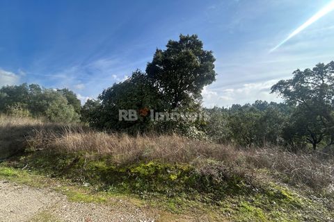 Helårsgrund i Tomar, Santarem, Tomar - € 15.000 | Ref: 01582-25 - foto 12