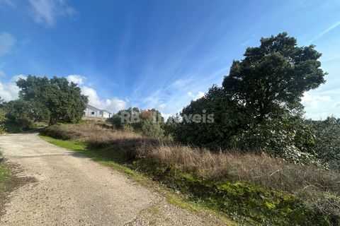 Helårsgrund i Tomar, Santarem, Tomar - € 15.000 | Ref: 01582-25 - foto 13