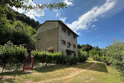 Farm hus i Sassetta, Livorno, Sassetta - € 320.000 | Ref: a3165ta2486057a - foto 1