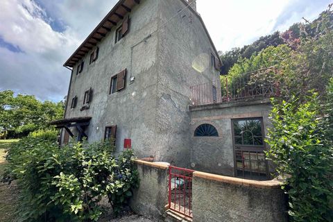 Farm hus i Sassetta, Livorno, Sassetta - € 320.000 | Ref: a3165ta2486057a - foto 4