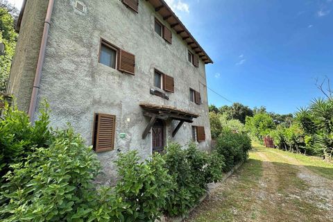 Farm hus i Sassetta, Livorno, Sassetta - € 320.000 | Ref: a3165ta2486057a - foto 22