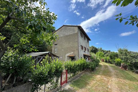 Farm hus i Sassetta, Livorno, Sassetta - € 320.000 | Ref: a3165ta2486057a - foto 23