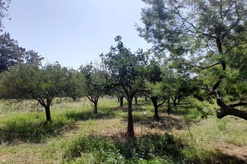 Farm hus i Modica, Ragusa, Modica - € 260.000 | Ref: RP-589531-589531 - foto 6