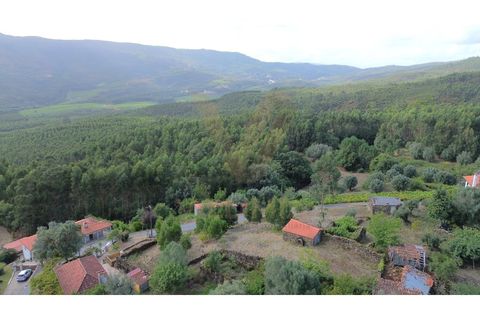 Helårsgrund i Viana do Castelo, Viana do Castelo, Viana do Castelo - € 47.000 | Ref: V324 - foto 3