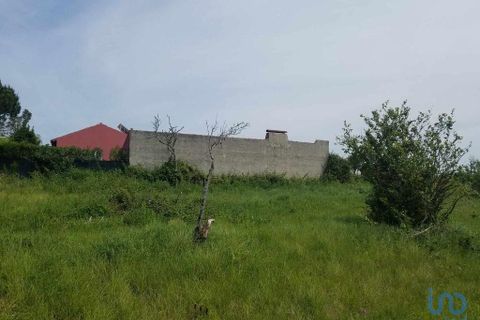 Terra a Bombarral, Leiria, Bombarral - € 350.000 | Ref: 148549 - foto 2