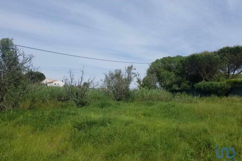 Terra a Bombarral, Leiria, Bombarral - € 350.000 | Ref: 148549 - foto 3