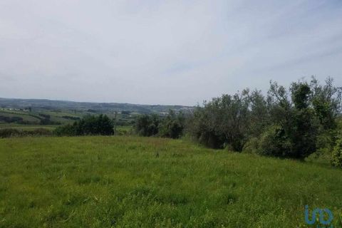 Terra a Bombarral, Leiria, Bombarral - € 350.000 | Ref: 148549 - foto 4