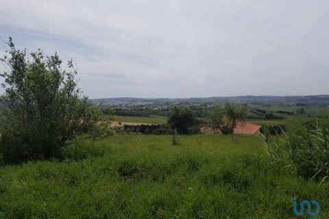 Terra a Bombarral, Leiria, Bombarral - € 350.000 | Ref: 148549 - foto 5