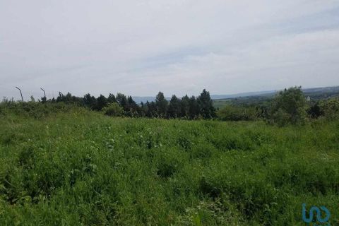 Terra a Bombarral, Leiria, Bombarral - € 350.000 | Ref: 148549 - foto 6