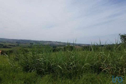 Terra a Bombarral, Leiria, Bombarral - € 350.000 | Ref: 148549 - foto 7