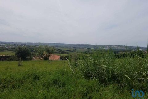 Terra a Bombarral, Leiria, Bombarral - € 350.000 | Ref: 148549 - foto 8