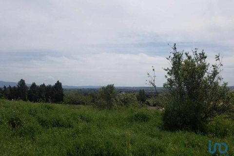 Terra a Bombarral, Leiria, Bombarral - € 350.000 | Ref: 148549 - foto 9
