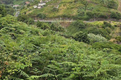 Tomt i Machico, Madeira, Machico - € 160 000 | Ref: 146640 - foto 2